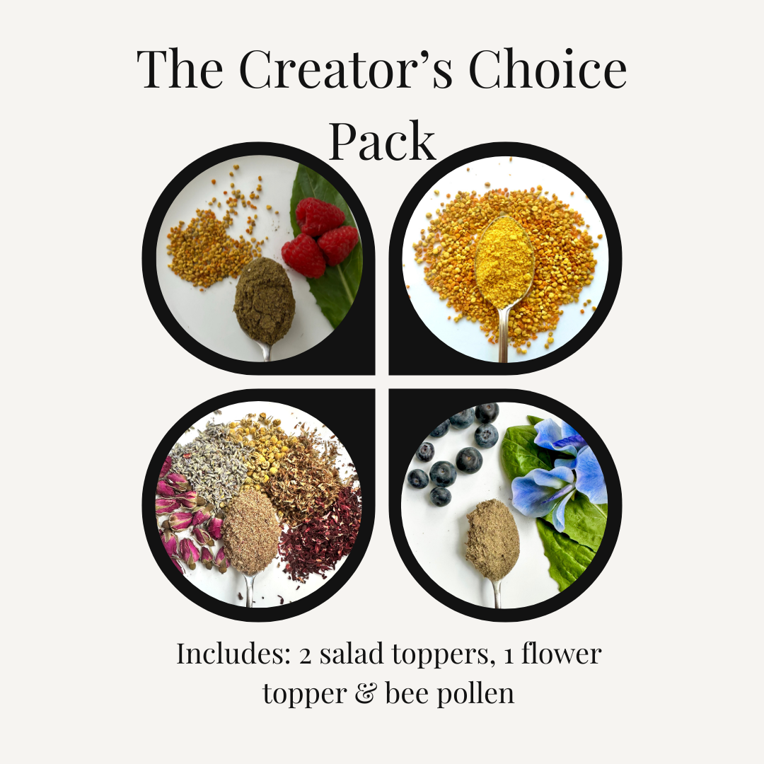 The Creator's Choice Pack