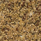 Ancient Seeds