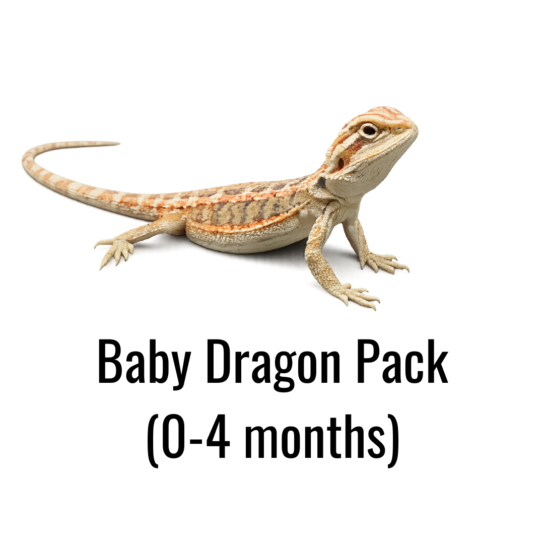 Baby Dragon Pack (0-4 months)